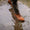 Our natural leather calf leather Sciostree country boots - Wear picture 4
